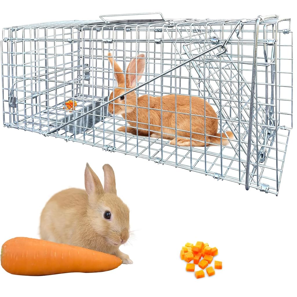 Proberos Live Animal Cage Trap, One-Door Animal Trap forRabbits, Stray Cat, Squirrel, Raccoon, Mole, Release Cage with Handle for Urban Wildlife Rescue 24 Proberos Live Animal Cage Trap, One-Door Animal Trap forRabbits, Stray Cat, Squirrel, Raccoon, Mole, Release Cage with Handle for Urban Wildlife Rescue 24